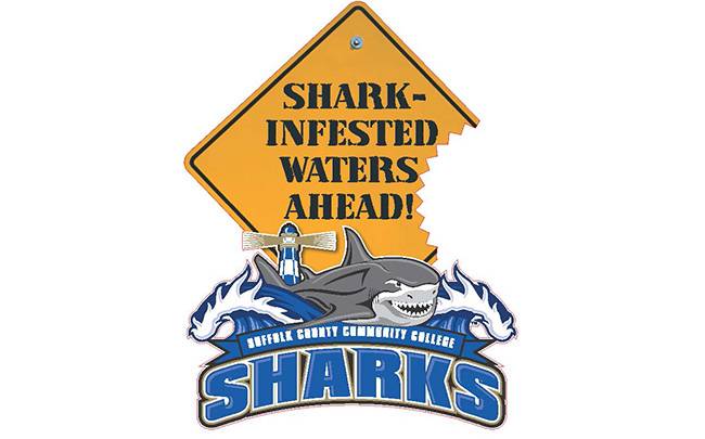 Sharks Brochure