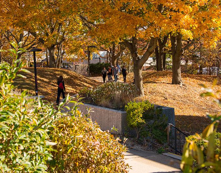 Administration of Suffolk County Community College