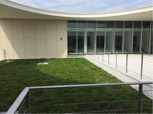 Grant LRC Green Roof