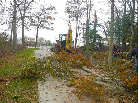 Hurricane Sandy Clean-up