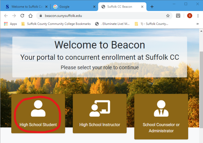 Beacon Website Screenshot