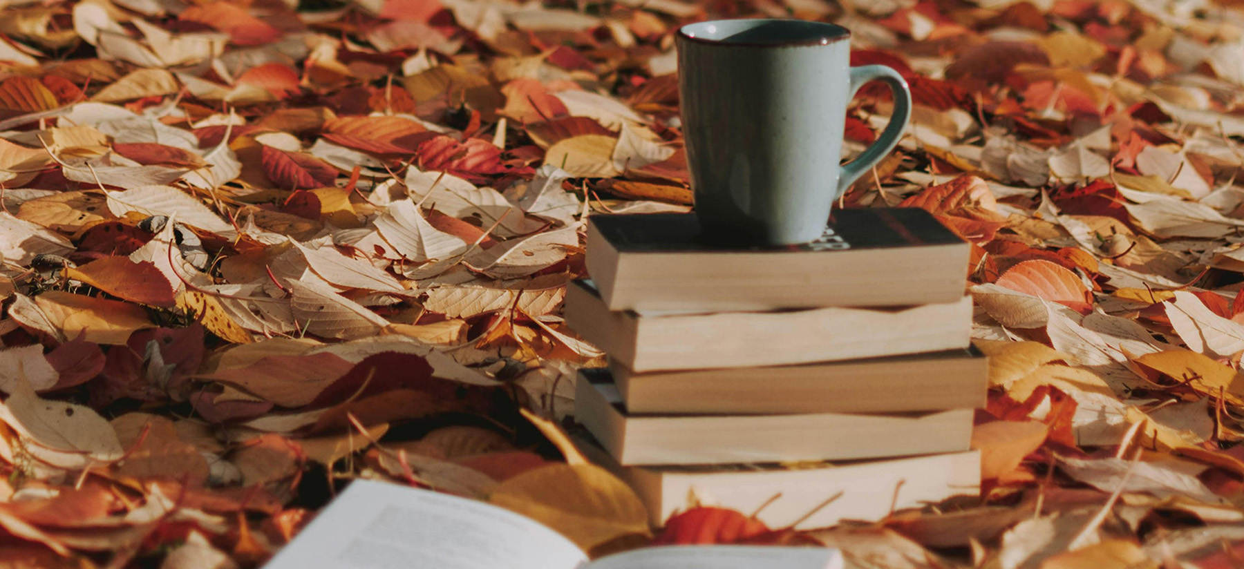autumn books and coffee