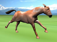 Horse Test