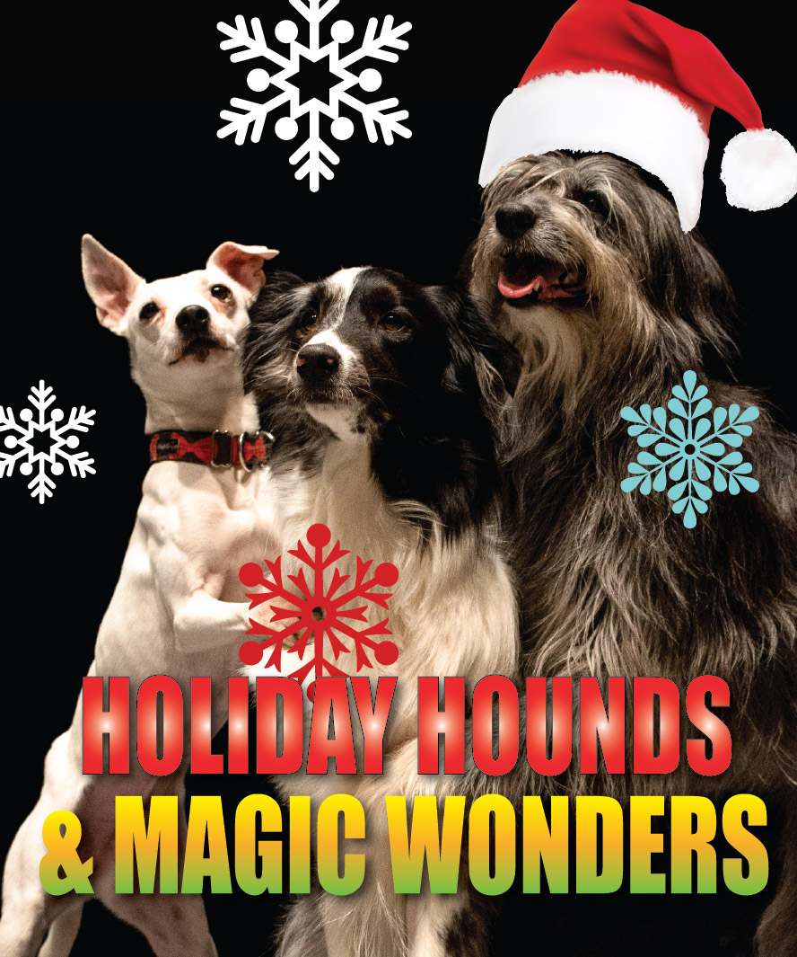 Holiday_Hounds_spotlight