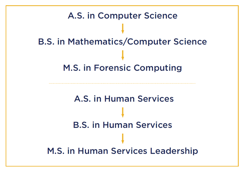 SJC Degree