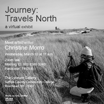 Journey: Travels North Virtual Reception Information