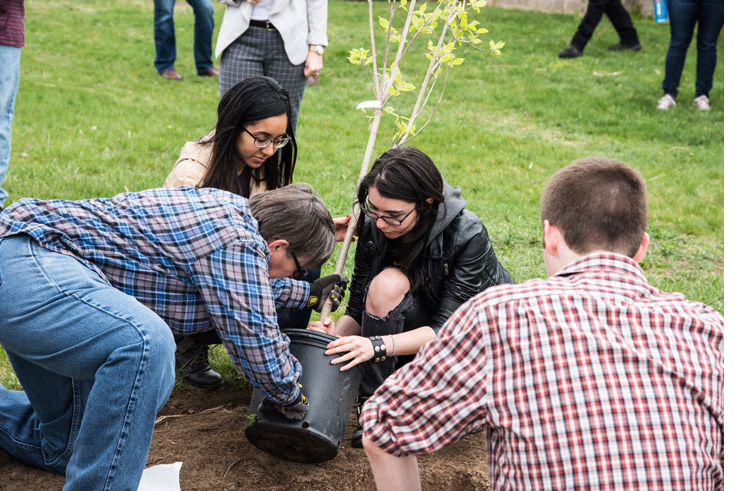 Suffolk County Community College students plant a tree on the college's Michael J. Grant Campus on Earth Day. All three of Suffolk's campuses have been recognized by the Arbor Day Foundation and the New York State Department of Environmental Conservation as 2018 Tree Campus USA members.