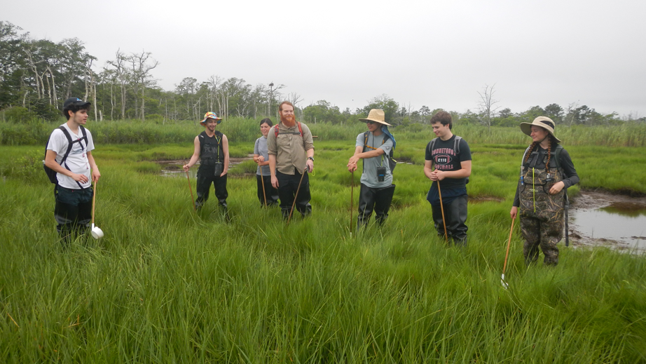 Suffolk County Community College interns prepare to take environmental samples in a south shore salt marsh. From left: Jake Montgomery, David Ziff, Jessica Cormier, Field Supervisor Nicholas Cormier, Brendan Lin, Kyler Vander Putten, and Grace Nelson.  